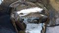 thumb_20200308-004515-66228300-6c6d06776f27d0bc5394fae1c59dc0db.jpg (120x68)