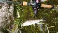 thumb_20200311-141711-92902200-40f5c8e7a836798d6b1a817ce82459b7.jpg (120x68)