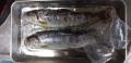 thumb_20200404-191412-76501900-baa115fa6ac2521867728e35178971c0.jpg (120x58)