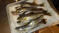 thumb_20200413-231024-30119900-b0c6858e07a5bd9d274d10984d8d3fc2.jpg (120x68)