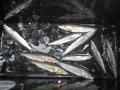 thumb_20200602-221553-02396700-ea84a567d91ab573ccde48735188a651.jpg (120x90)