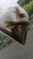 thumb_20200606-201536-24887900-8c68ec6ecdc213c010ef29ba938626c9.jpg (51x90)