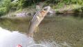thumb_20200607-190819-27041600-dfb677a61b0b1751382db12e60abbf61.jpg (120x68)