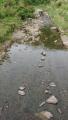thumb_20200609-215520-79612800-0d4eeb618f499a0cda708627b1ee03dc.jpg (51x90)