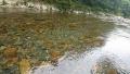 thumb_20200628-085008-51359500-ad37a6d28ee54e50d2c1c3074ef6c420.jpg (120x68)