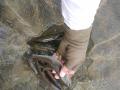 thumb_20200802-200725-13094400-2f11070313d2d187e3d941c871148123.jpg (120x90)