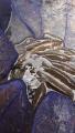thumb_20200809-190928-01164000-b2123917fa9feee88b3774fb1d4ccab4.jpg (51x90)