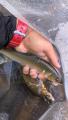 thumb_20200814-193153-03077200-e43dcbfccbcd84cbc5a2c4cb9dd9c886.jpg (51x90)