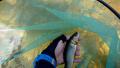 thumb_20200814-212018-83822900-e0f8a61c2466da6c43abb3efb0c845e9.jpg (120x68)