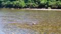 thumb_20200815-071506-68307200-4c6c7c9e2b30817d2cc71fad092c4821.jpg (120x67)