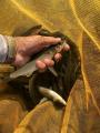 thumb_20200816-203103-96656900-ebb5a4ae01d2ae720cce638453701046.jpg (68x90)