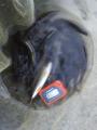 thumb_20200829-225826-97554800-6e3b57461bf357ae2529fbe522c51580.jpg (68x90)