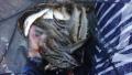 thumb_20200831-031317-52370200-f48c769d042f5867b1038c4551d5033c.jpg (120x68)