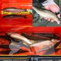 thumb_20200913-195846-49176900-2c21f69beab9d5da450a877989d5ea56.jpg (90x90)