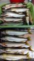 thumb_20200914-212954-91973400-c8f979c6fd92da5a7e92c4470b4ac7e3.jpg (51x90)