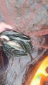 thumb_20200916-192535-59106200-7ed0d43a0b3ed716b9b5a8d671564045.jpg (51x90)