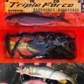 thumb_20201003-221159-61355200-68a10b6a4488f14775f9202ae7f36d68.jpg (90x90)