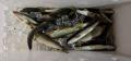 thumb_20201004-190850-97328400-75a9c99562bdccdb290ad8eb9e4eccef.jpg (120x56)