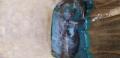 thumb_20201004-213403-06361000-cde20c981d80f48055d15c9f3c483959.jpg (120x58)