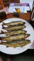 thumb_20201007-200320-25209900-04668c30bcbb85afe90bcc22fe6b0bd2.jpg (51x90)