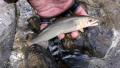 thumb_20201011-191357-52603300-ea0350148d7f48b9eabbcf5e78d92946.jpg (120x68)