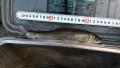 thumb_20201013-203622-53160500-e731d2adf04a9339202776a9daeb0ff3.jpg (120x68)