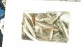 thumb_20201024-204033-50536400-b0995405dd525598be8e25b3e5cb9cb1.jpg (120x68)