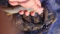 thumb_20201025-214109-12900200-5b1bf53e2225cd6acacce55694f52bb6.jpg (120x68)