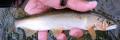 thumb_20201025-221903-80095600-729b0f5d8f789f90662bfab0807f72ba.jpg (120x40)