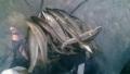 thumb_20201030-074116-13182300-9d11e56a1f3922ad6e2b78d48bb20c4f.jpg (120x68)