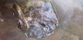thumb_20201101-170325-97165200-a6f44a5b80e82bdecbb0883e809437e0.jpg (120x58)
