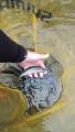 thumb_20201101-222507-11016400-022acbacbba5656f61d409b566f04cf7.jpg (51x90)