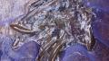 thumb_20201103-174803-65902800-7bdc5b94b3b1db21d09fe04e656a5db4.jpg (120x68)