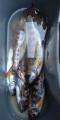 thumb_20210304-093540-64369500-68898b74282f025bbba9378a1e05bdfd.jpg (45x90)