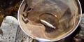 thumb_20210319-195928-05981700-94798519b94e4b05f821e3881f7a5dff.jpg (120x60)