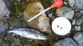 thumb_20210428-201333-40357100-a583cdc3cafec45650bb08d65a284859.jpg (120x67)