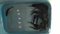 thumb_20210506-195230-20327700-3b27038c6f6033309b3c2e1bc9cc45d3.jpg (120x68)