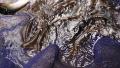 thumb_20210514-021136-06853100-10198c0ba006aeccef360053e4f3895f.jpg (120x68)