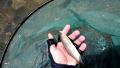 thumb_20210530-214544-36196500-a38007e955862966b0266dd07bb08194.jpg (120x68)