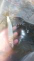 thumb_20210608-174058-66337700-465ce1d17fb04b7931a31fbf1dea9a6a.jpg (51x90)
