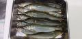 thumb_20210608-194259-57272800-3249fc5687b5d3f99e847528df3e9668.jpg (120x58)