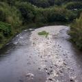 thumb_20210619-062427-45113200-02e00364fc14a38849a2509551211c13.jpg (90x90)