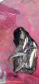 thumb_20210620-210338-45150400-8fd028b58329a79f97200cd14f22af37.jpg (42x90)