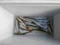 thumb_20210621-235541-80392100-af7737d3dee04e9c90a3e6d9ba4bd6d7.jpg (120x90)
