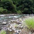 thumb_20210705-132036-75523400-cdb31521e7fcf1e0ebb41e24592c76cb.jpg (90x90)