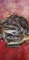 thumb_20210707-175702-50795900-9b0b387c6c05a82d408bfee4c9c24e6b.jpg (44x90)