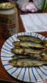 thumb_20210710-213126-54377600-89f32e45dd04643e9f8c0ab9cf86c426.jpg (51x90)