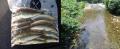 thumb_20210713-232541-36396100-5a3561135a156cfe025f2ac87bd8192f.jpg (120x49)