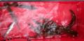 thumb_20210717-070552-71922600-c9401da466d0f4f344d2e88ccef71217.jpg (120x59)