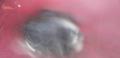 thumb_20210722-054419-62645500-42f0581d857740b698e8affe95fd9ad5.jpg (120x58)